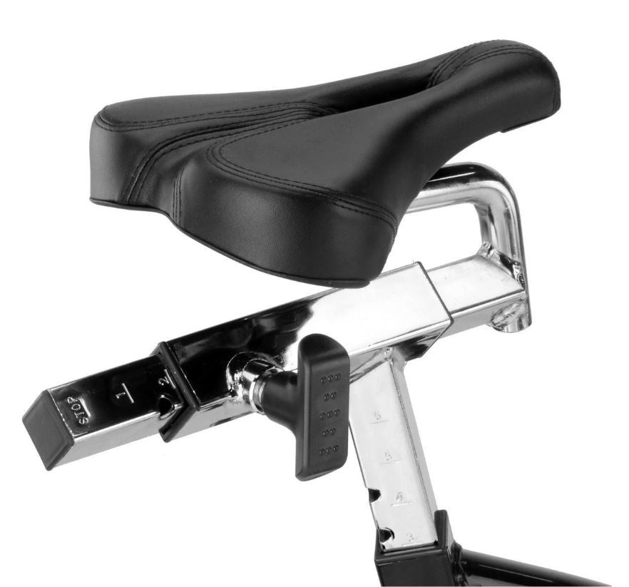 BH Fitness ZS600